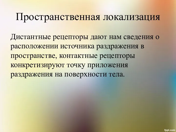 Пространственная локализация Дистантные рецепторы дают нам сведения о расположении источника