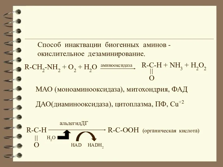 ДАО(диаминооксидаза), цитоплазма, ПФ, Сu+2 МАО (моноаминооксидаза), митохондрия, ФАД R-CH2-NH2 +