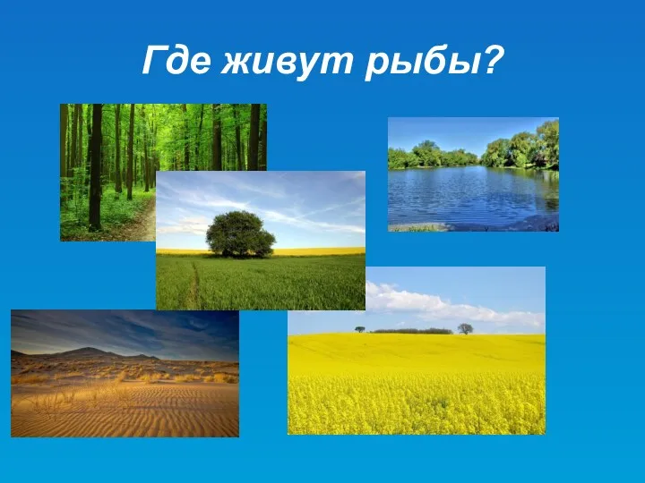 Где живут рыбы?