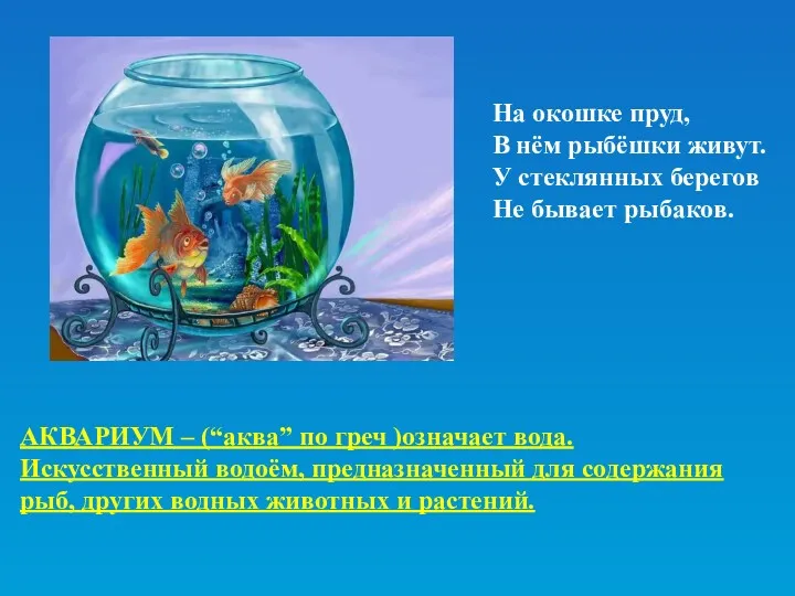 На окошке пруд, В нём рыбёшки живут. У стеклянных берегов