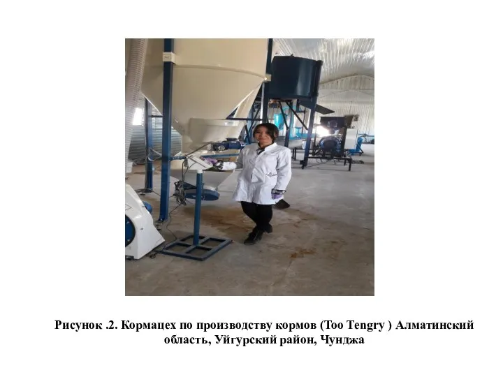 Рисунок .2. Кормацех по производству кормов (Too Tengry ) Алматинский область, Уйгурский район, Чунджа