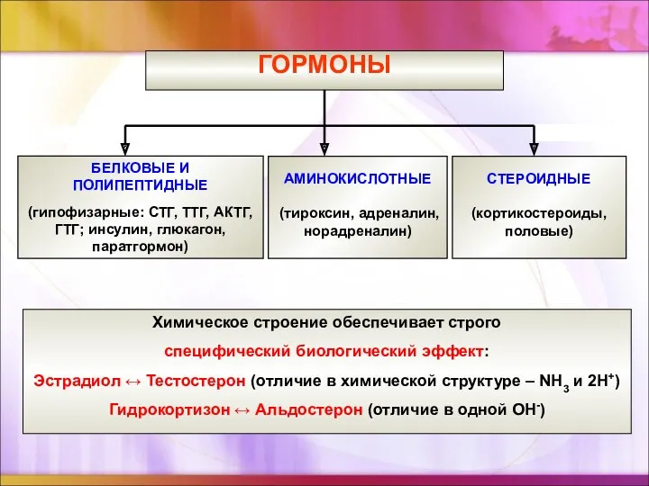 ГОРМОНЫ АМИНОКИСЛОТНЫЕ (тироксин, адреналин, норадреналин) СТЕРОИДНЫЕ (кортикостероиды, половые) БЕЛКОВЫЕ И