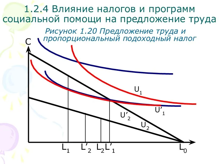 L0 С Рисунок 1.20 Предложение труда и пропорциональный подоходный налог