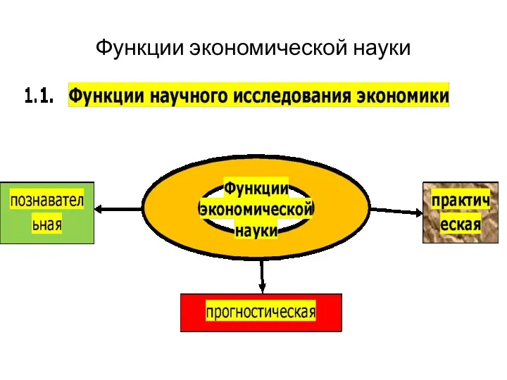 Функции экономической науки