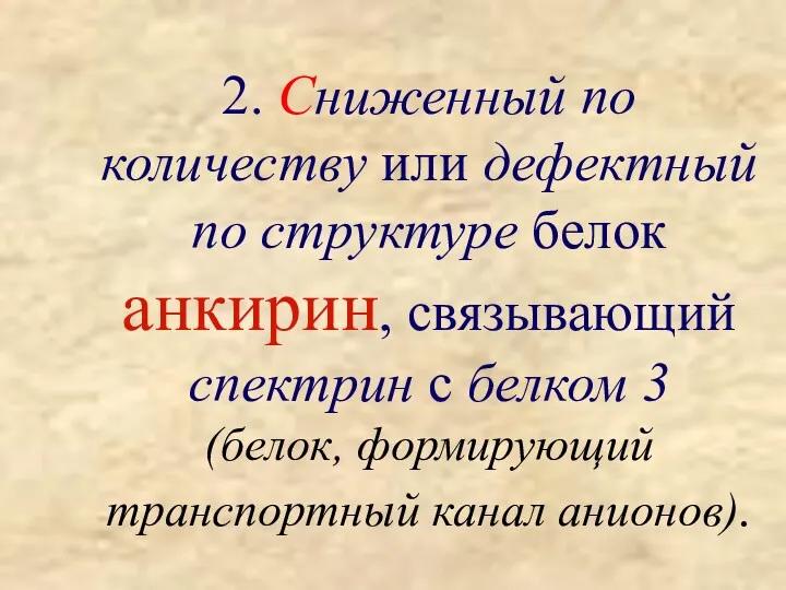 2. Сниженный по количеству или дефектный по структуре белок анкирин,