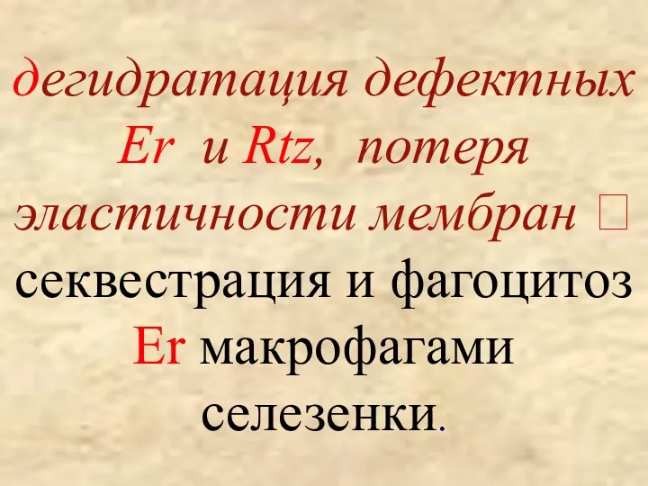 дегидратация дефектных Er и Rtz, потеря эластичности мембран ? секвестрация и фагоцитоз Er макрофагами селезенки.