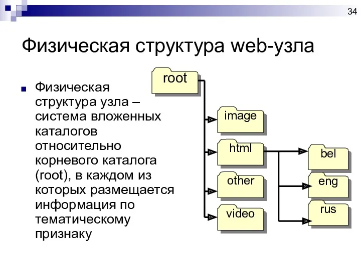 Физическая структура web-узла Физическая структура узла – система вложенных каталогов