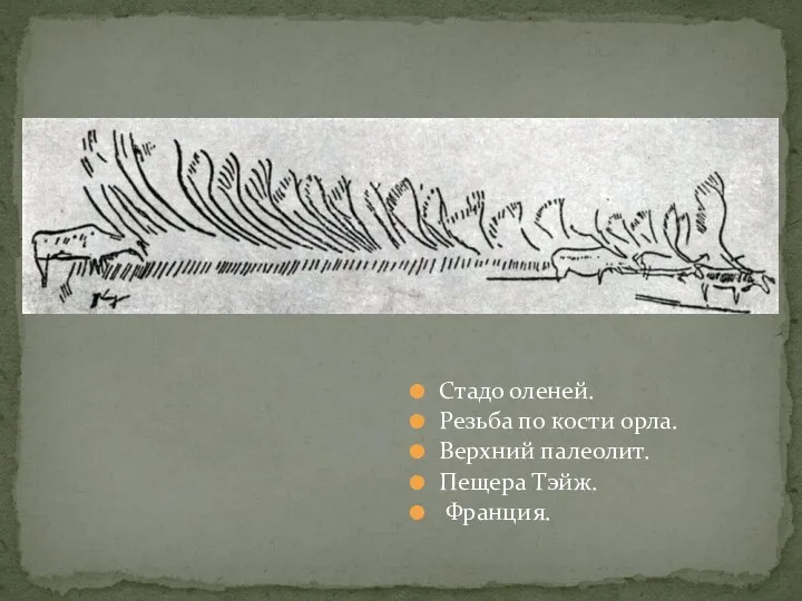 Стадо оленей. Резьба по кости орла. Верхний палеолит. Пещера Тэйж. Франция.