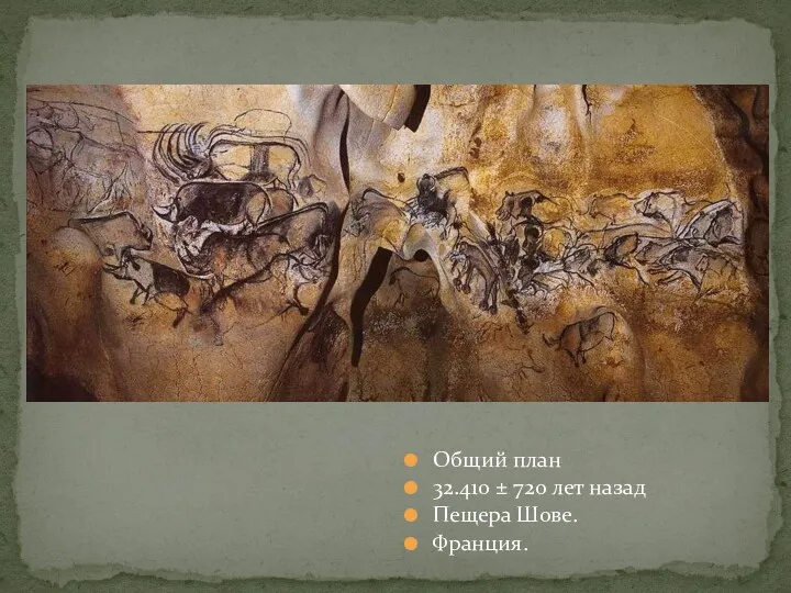 Общий план 32.410 ± 720 лет назад Пещера Шове. Франция.