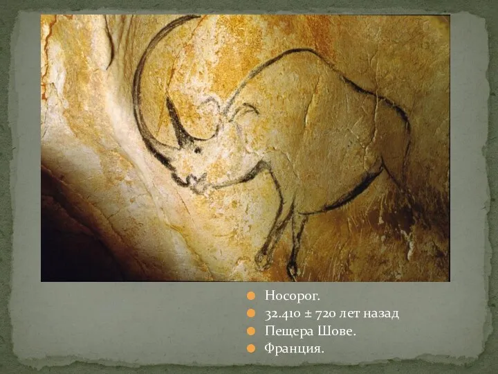 Носорог. 32.410 ± 720 лет назад Пещера Шове. Франция.