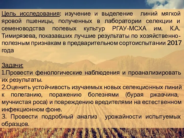 Цель исследования: изучение и выделение линий мягкой яровой пшеницы, полученных