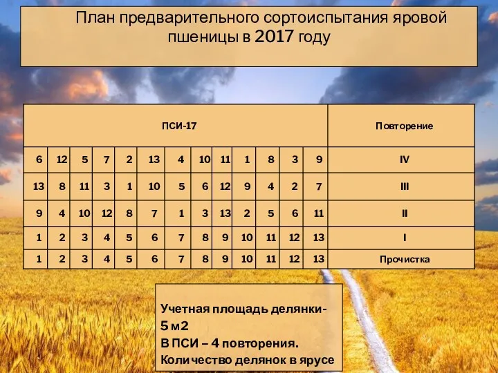 План предварительного сортоиспытания яровой пшеницы в 2017 году Учетная площадь