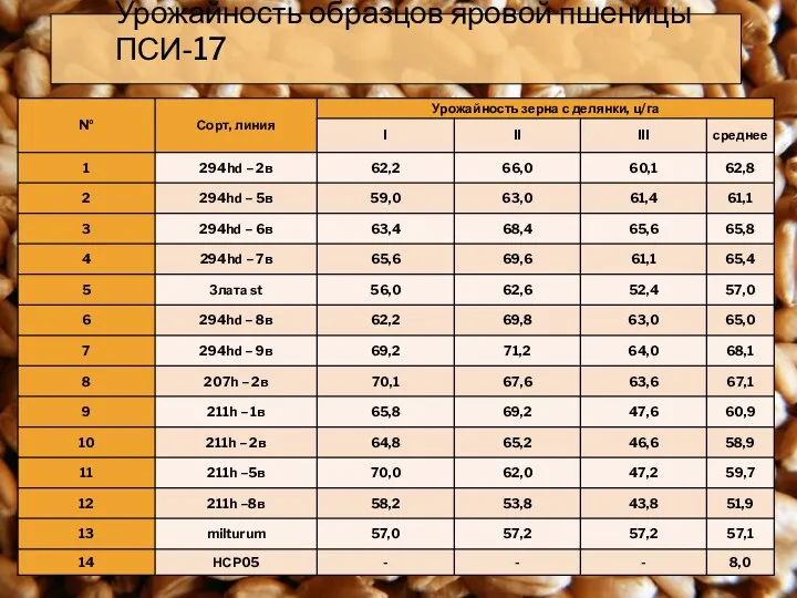 Урожайность образцов яровой пшеницы ПСИ-17
