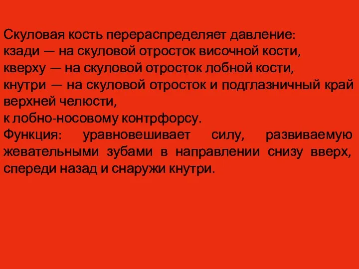 Скуловая кость перераспределяет давление: кзади — на скуловой отросток височной