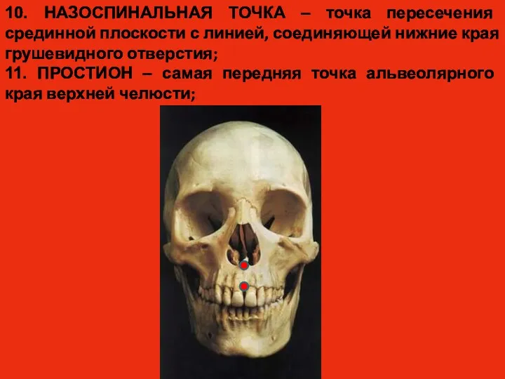 10. НАЗОСПИНАЛЬНАЯ ТОЧКА – точка пересечения срединной плоскости с линией,