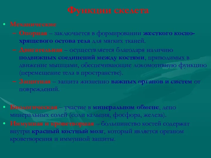 Функции скелета Механические Опорная – заключается в формировании жесткого косно-хрящевого