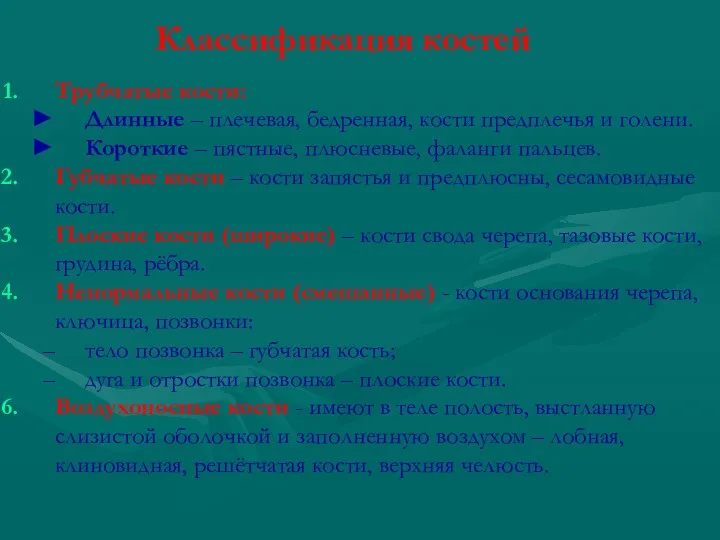 Классификация костей Трубчатые кости: Длинные – плечевая, бедренная, кости предплечья