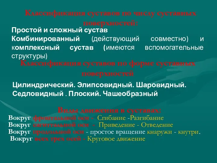 Классификация суставов по числу суставных поверхностей: Простой и сложный сустав