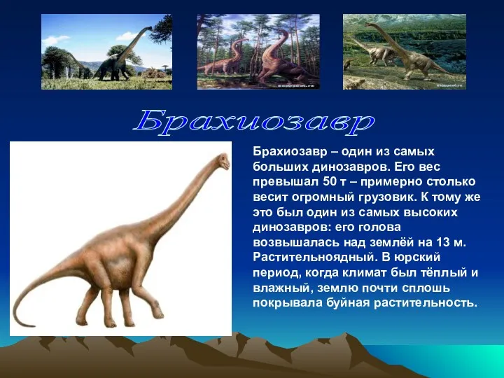 Брахиозавр – один из самых больших динозавров. Его вес превышал