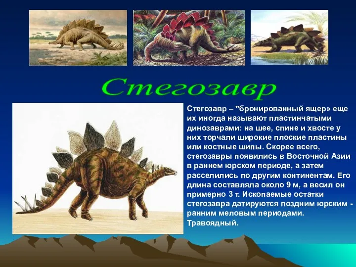 Стегозавр – "бронированный ящер» еще их иногда называют пластинчатыми динозаврами: на шее, спине