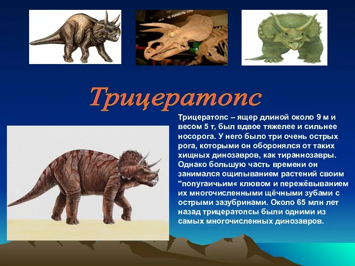 Трицератопс – ящер длиной около 9 м и весом 5 т, был вдвое