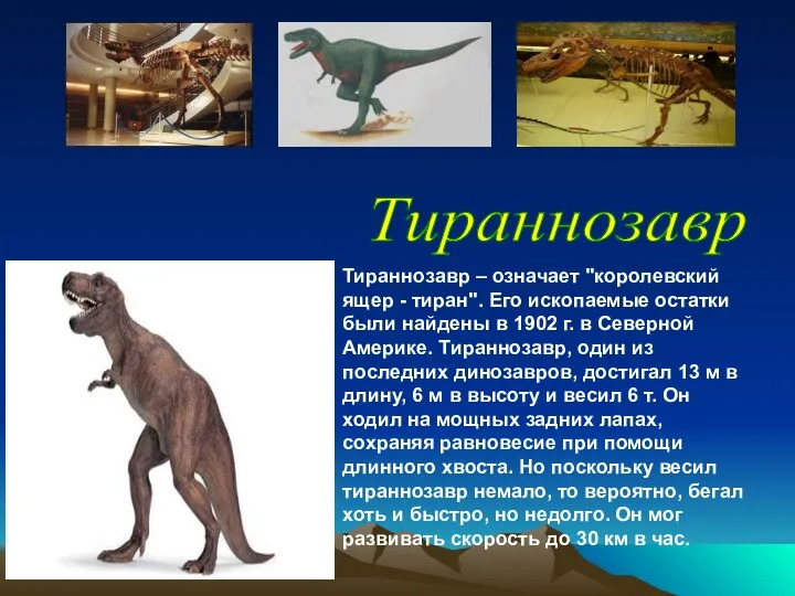 Тираннозавр – означает "королевский ящер - тиран". Его ископаемые остатки были найдены в