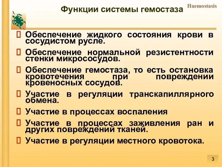 Функции системы гемостаза Обеспечение жидкого состояния крови в сосудистом русле.