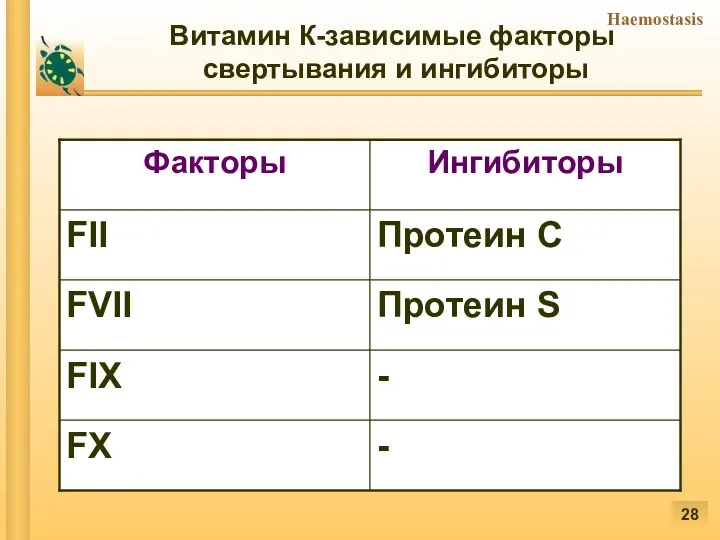 Витамин К-зависимые факторы свертывания и ингибиторы