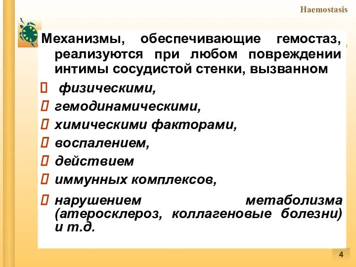 Механизмы, обеспечивающие гемостаз, реализуются при любом повреждении интимы сосудистой стенки,