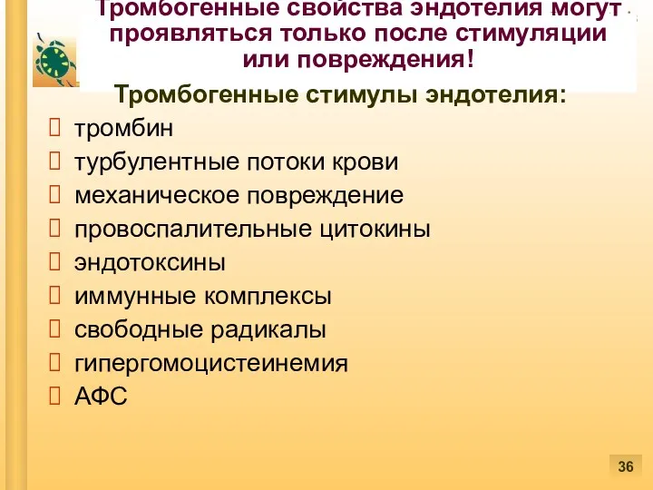 Тромбогенные свойства эндотелия могут проявляться только после стимуляции или повреждения!