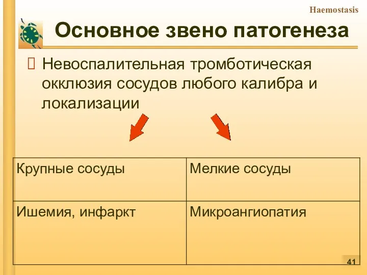 Основное звено патогенеза Невоспалительная тромботическая окклюзия сосудов любого калибра и локализации