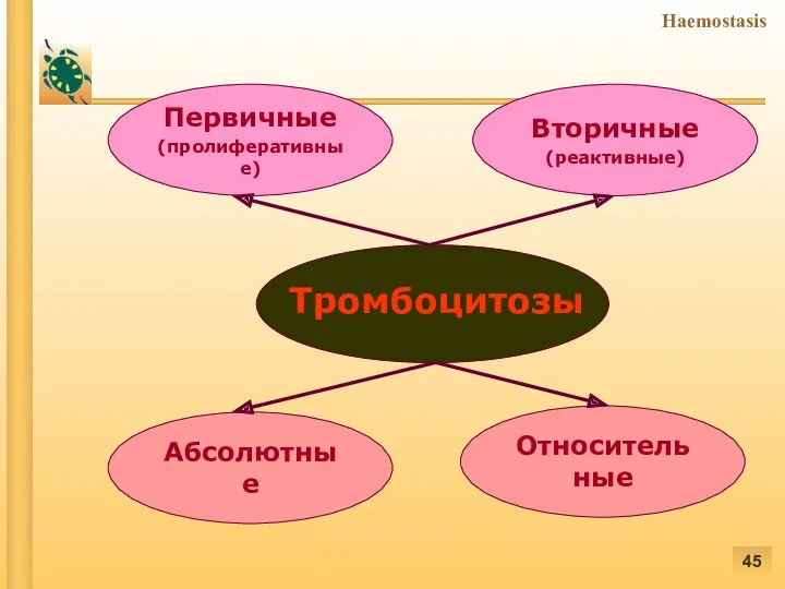 Абсолютные Вторичные (реактивные) Первичные (пролиферативные) Относительные Тромбоцитозы