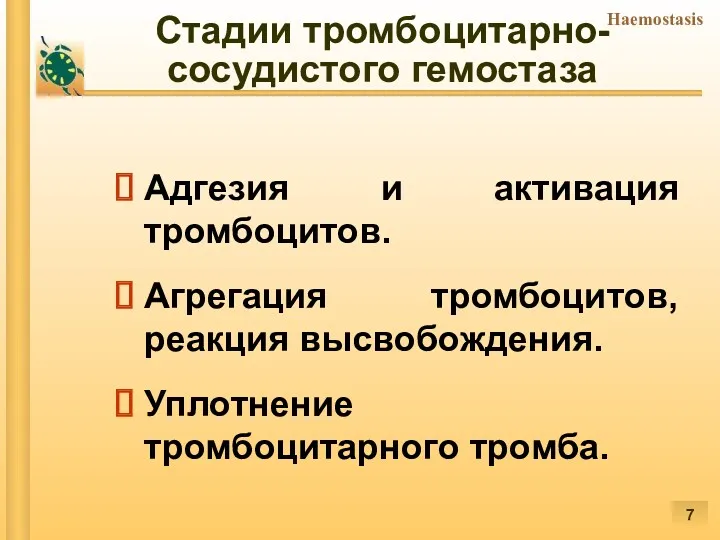 Стадии тромбоцитарно-сосудистого гемостаза Адгезия и активация тромбоцитов. Агрегация тромбоцитов, реакция высвобождения. Уплотнение тромбоцитарного тромба.