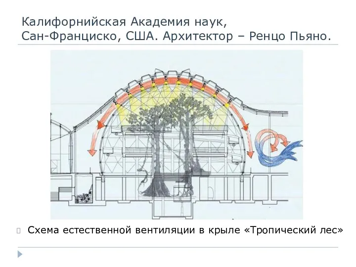 Калифорнийская Академия наук, Сан-Франциско, США. Архитектор – Ренцо Пьяно. Схема естественной вентиляции в крыле «Тропический лес»