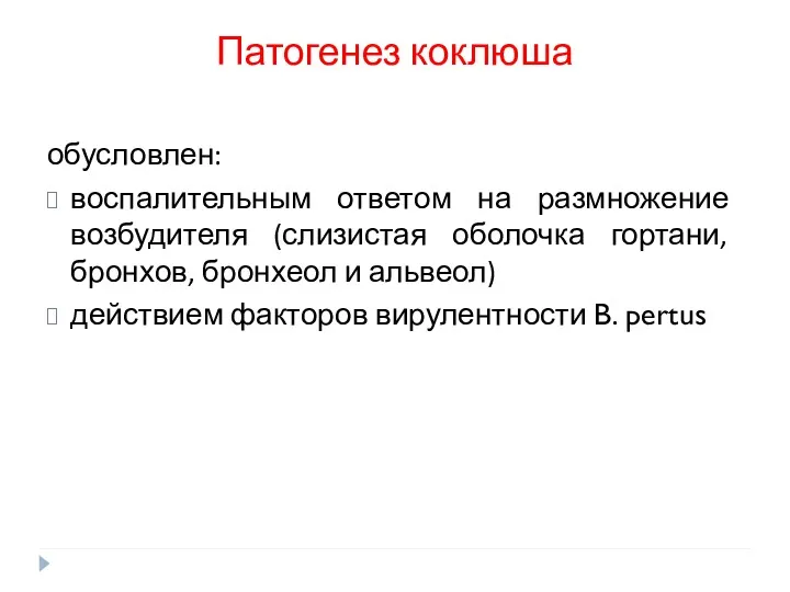 Патогенез коклюша обусловлен: воспалительным ответом на размножение возбудителя (слизистая оболочка