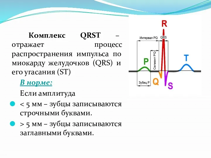 Комплекс QRST – отражает процесс распространения импульса по миокарду желудочков