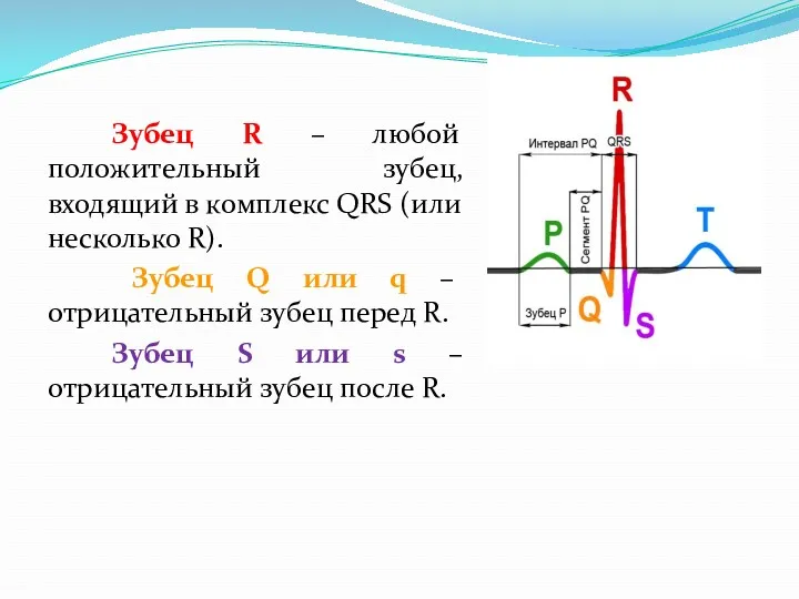 Зубец R – любой положительный зубец, входящий в комплекс QRS