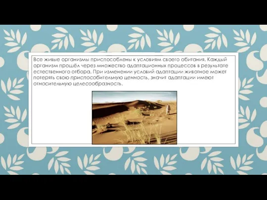 Все живые организмы приспособлены к условиям своего обитания. Каждый организм