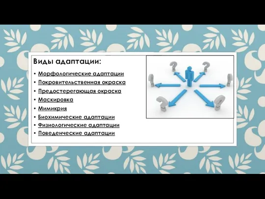 Виды адаптации: • Морфологические адаптации • Покровительственная окраска • Предостерегающая