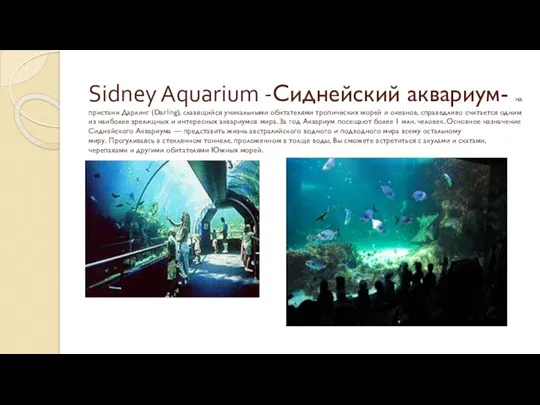 Sidney Aquarium -Сиднейский аквариум- на пристани Дарлинг (Darling), славящийся уникальными обитателями тропических морей