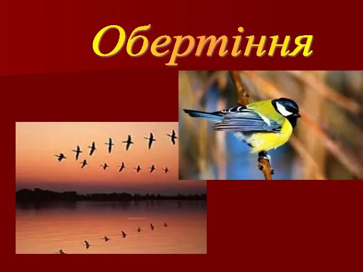 Обертіння