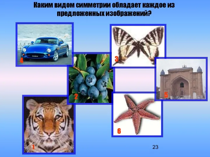 Каким видом симметрии обладает каждое из предложенных изображений? 1 2 3 4 5 6