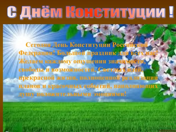 Сегодня День Конституции Российской Федерации! Большой праздник для всех нас!