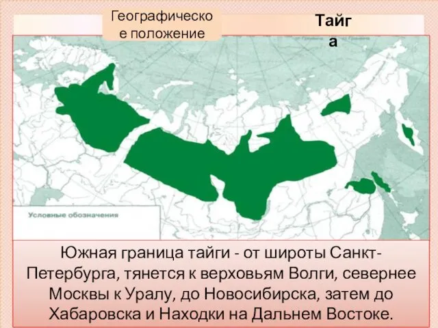 Географическое положение Тайга