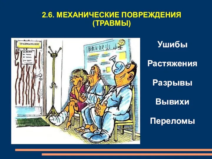 2.6. МЕХАНИЧЕСКИЕ ПОВРЕЖДЕНИЯ (ТРАВМЫ) Ушибы Растяжения Разрывы Вывихи Переломы