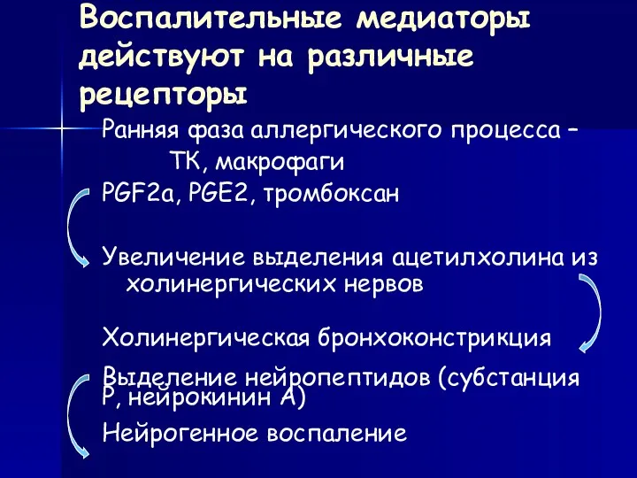 Воспалительные медиаторы действуют на различные рецепторы Ранняя фаза аллергического процесса