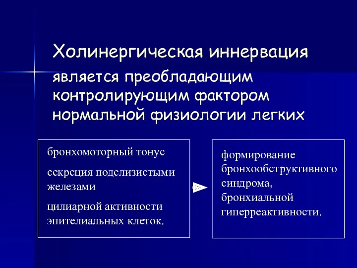 Холинергическая иннервация является преобладающим контролирующим фактором нормальной физиологии легких бронхомоторный