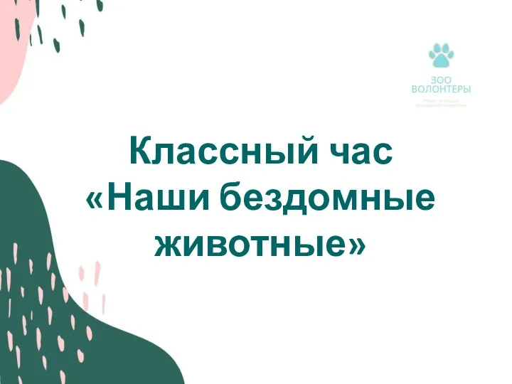 Классный час «Наши бездомные животные»