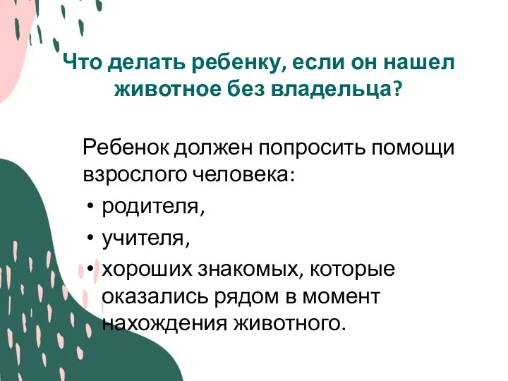 Что делать ребенку, если он нашел животное без владельца? Ребенок должен попросить помощи