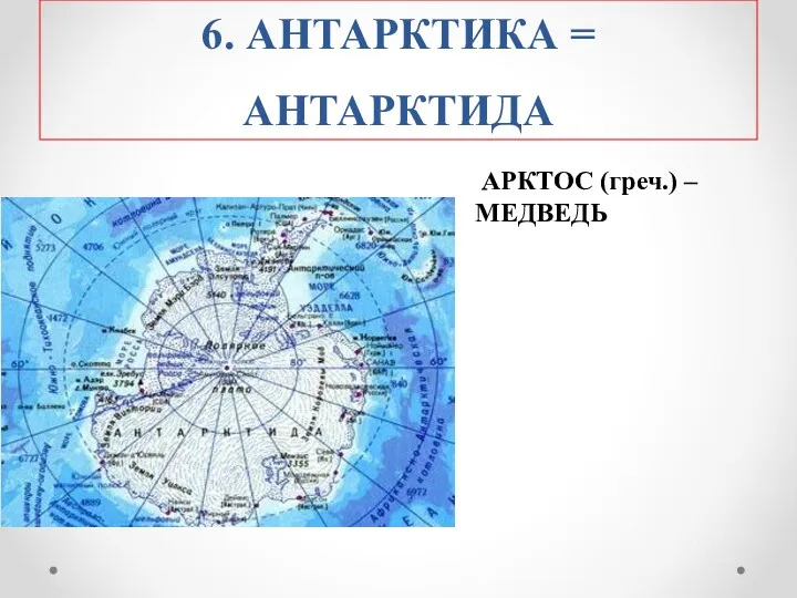 6. АНТАРКТИКА = АНТАРКТИДА АРКТОС (греч.) – МЕДВЕДЬ